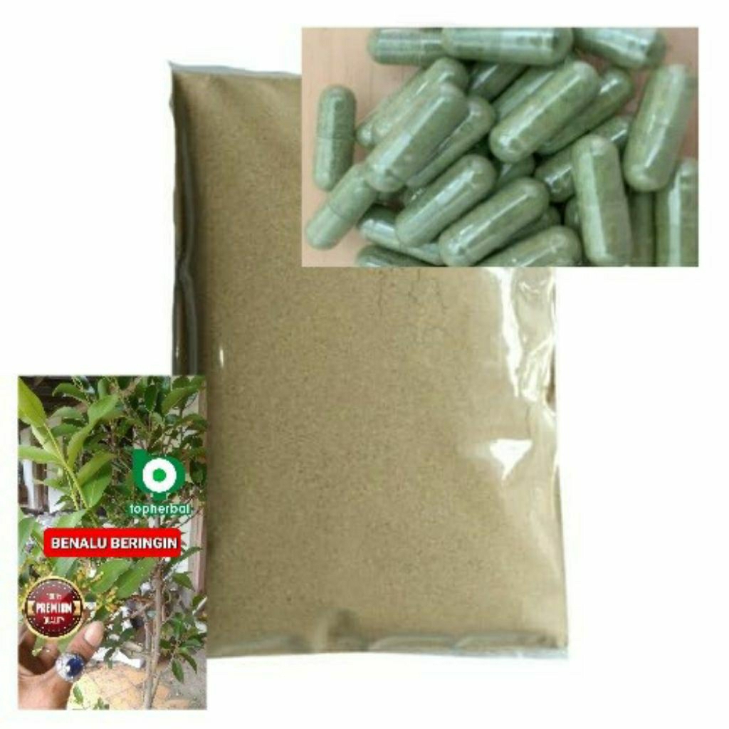 

Kapsul Benalu Beringin Hutan isi 100 Kapsul (Kering Hijau Organik Super Premium)