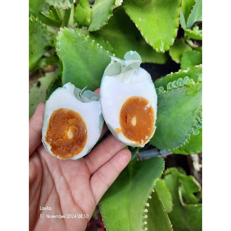 

Telur asin masir khas brebes isi 4