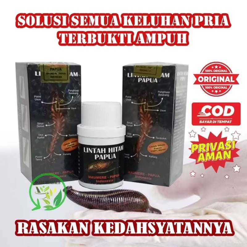 Minyak oles lintah hitam papua 100% Original dan Alami