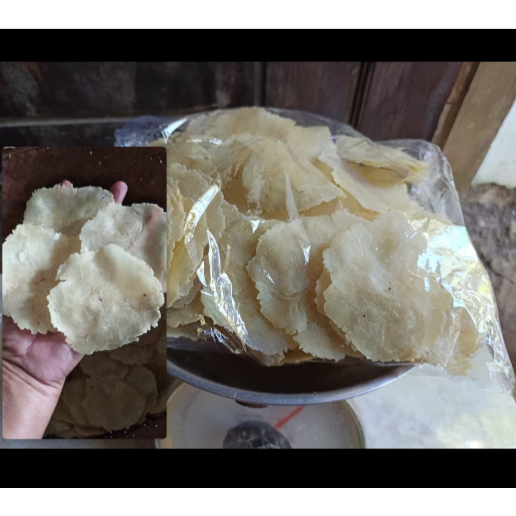 

EMPING MELINJO MENTAH SUPER UKURAN BESAR 1 KILO/KG KHAS PANDEGLANG BANTEN ORI 1000GRAM