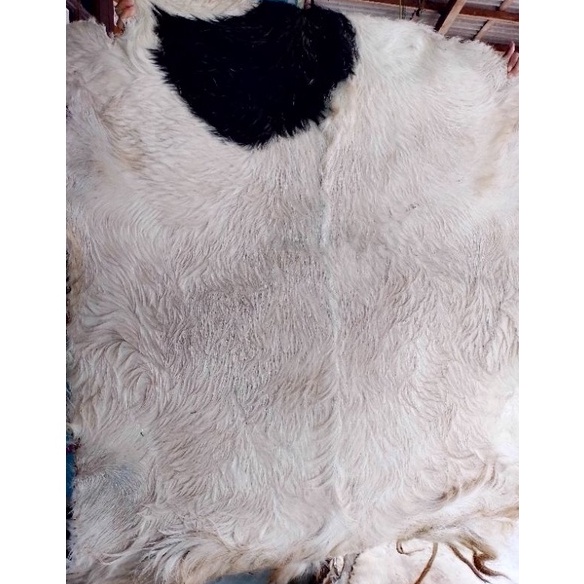 KODE I28C kulit kambing kering super jumbo beduggendang dll