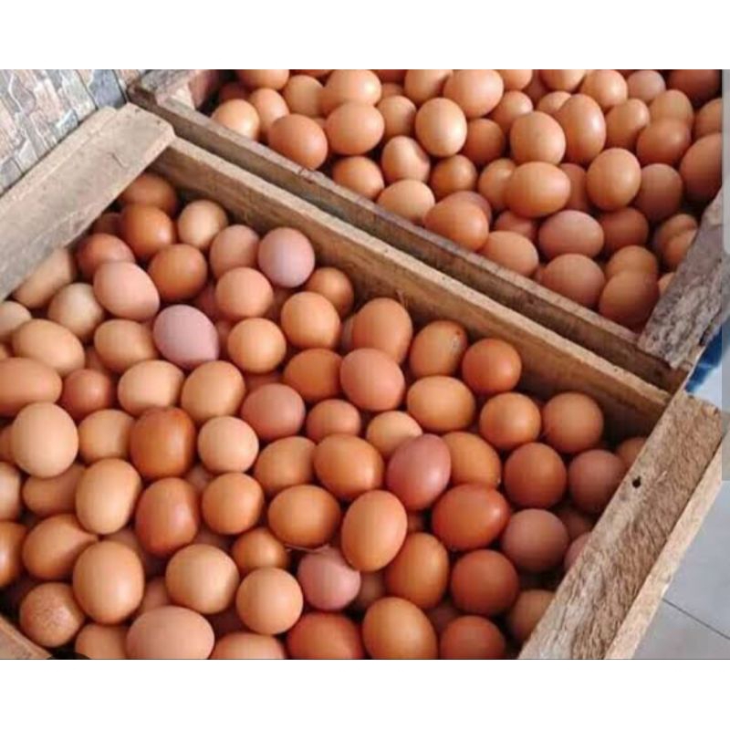

telur ayam ras berat 500gr