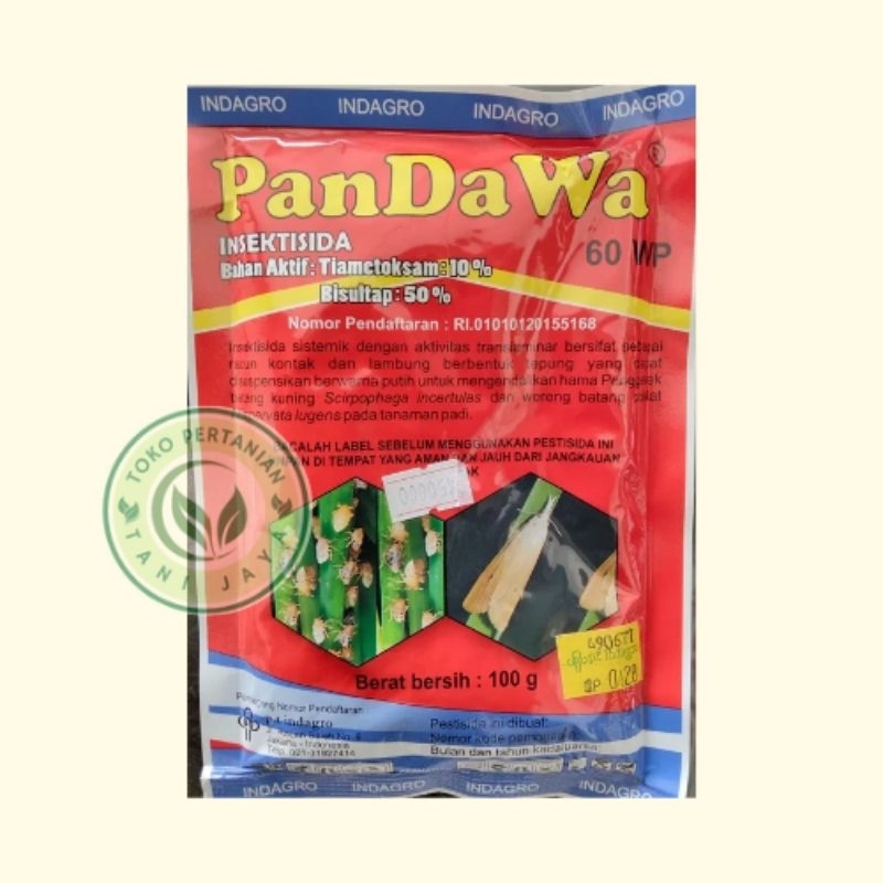 Mengendalikan Lalat Buah Cabe, Wereng Padi, dan Kupu Kubis | Insektisida PANDAWA 60 WP Tiamctoksam B