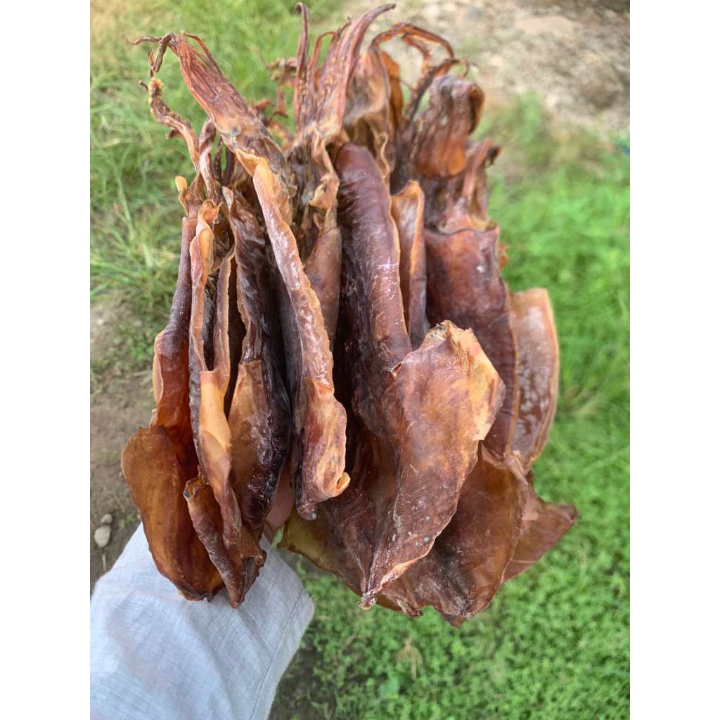 

cumi sotong juhi kering super pilihan