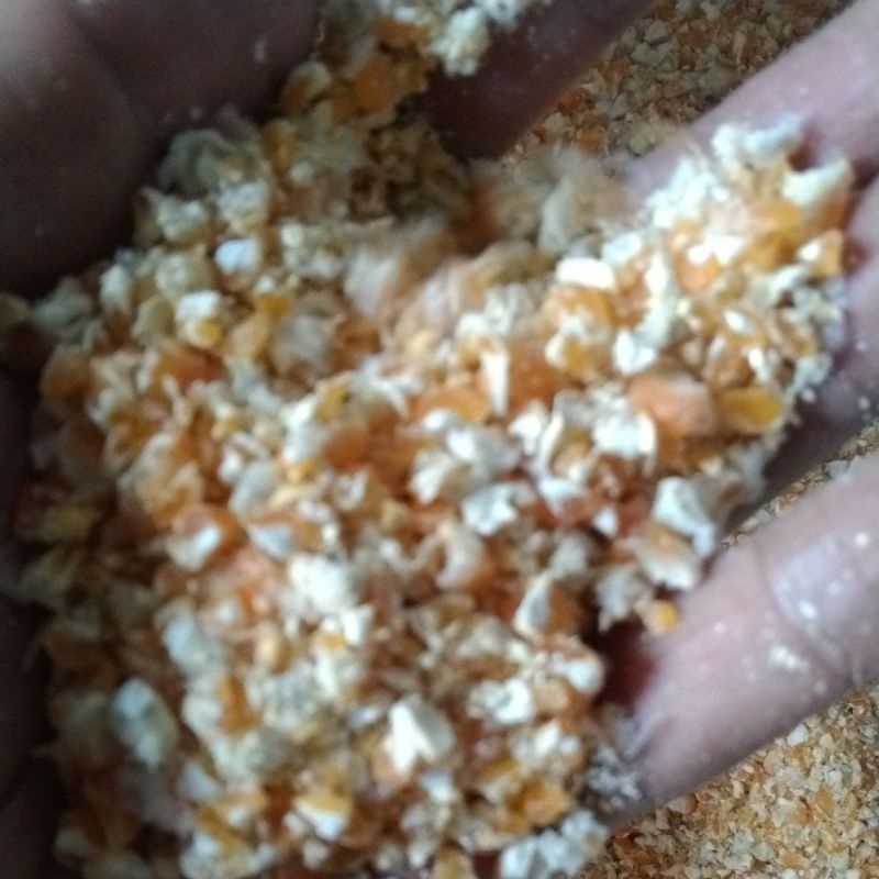Jagung Pecah Jagung Giling 1 Kg