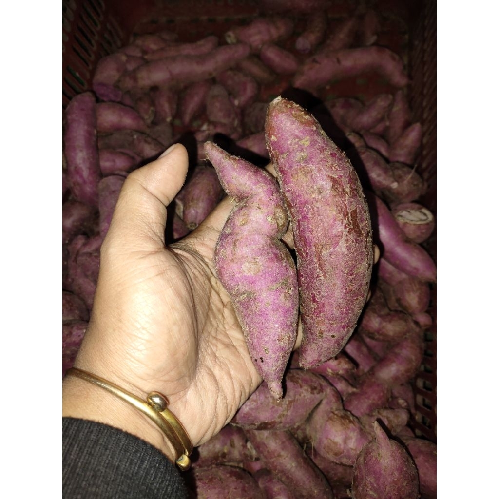 

JYOTI UBI UNGU 1 KG