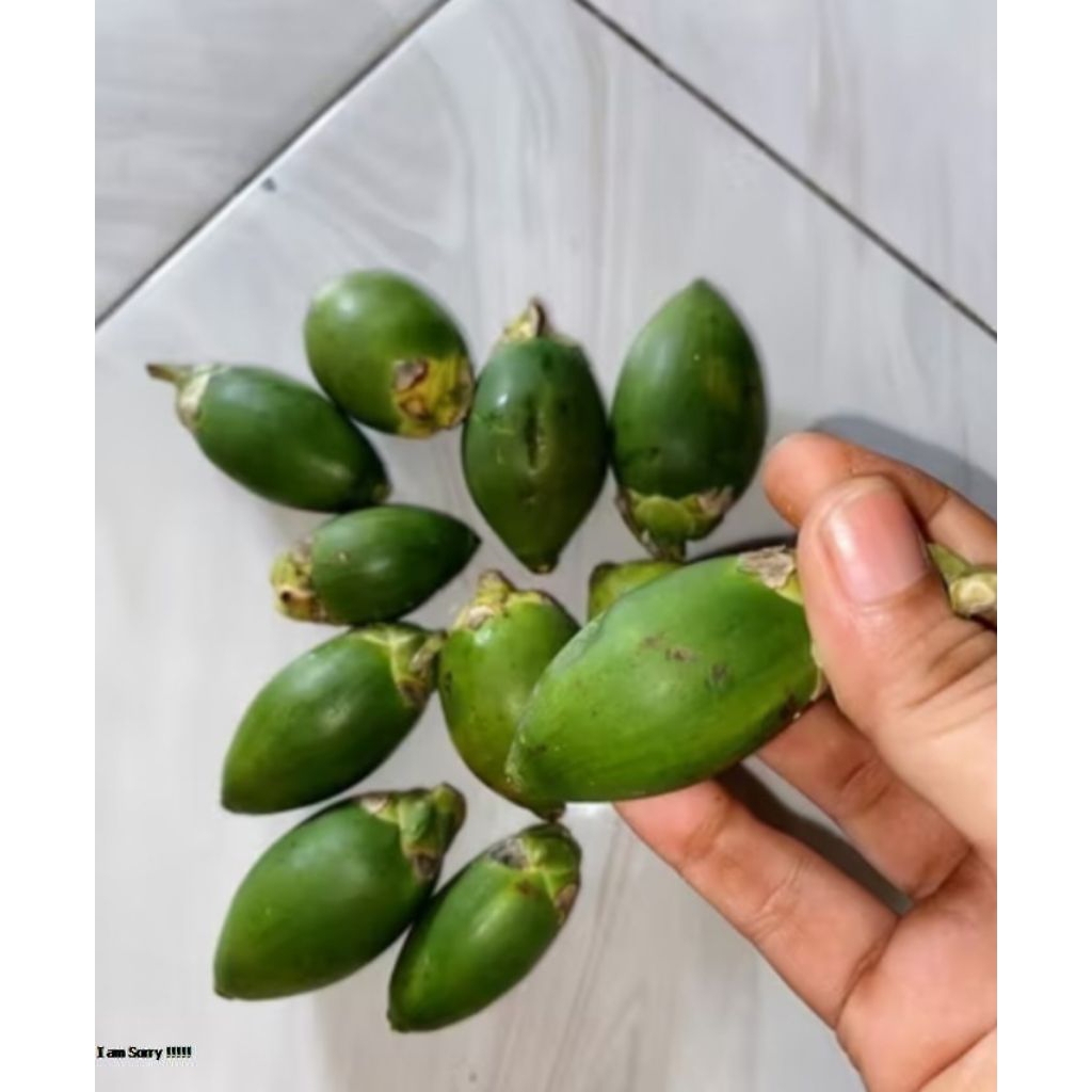 

buah pinang muda 1kg