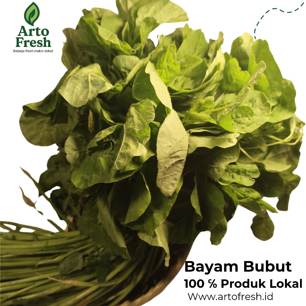 

Bayam Bubut, ArtoFresh, 1 Ikat 250 gram