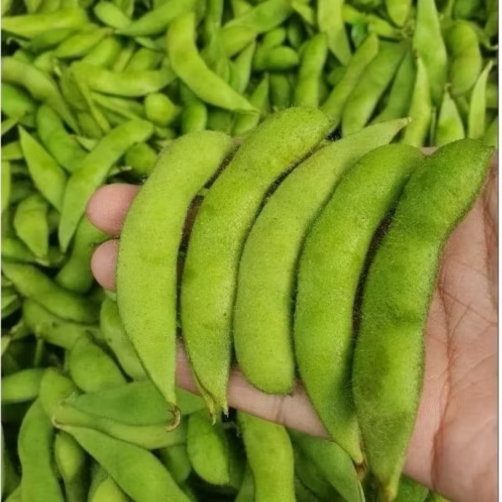 

Kacang Edamame FRESH