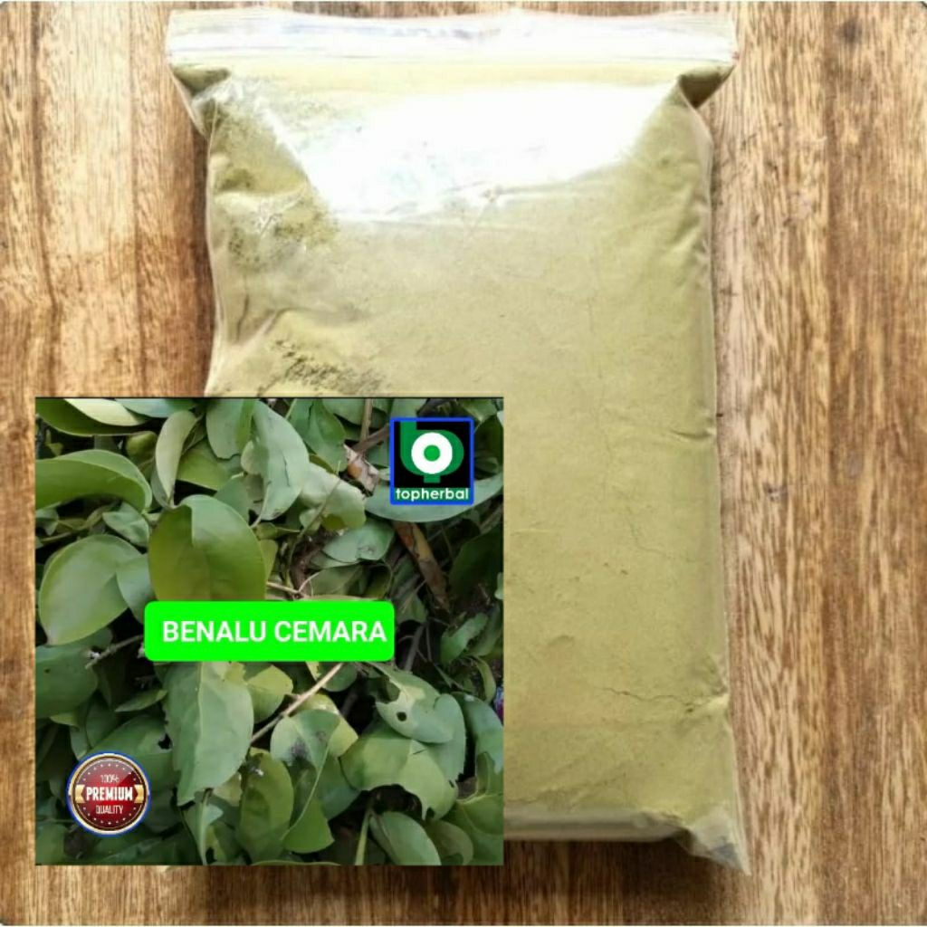 

Bubuk Benalu Cemara 1 Kg/1000 Gram Kering Hijau Organik Super Premium