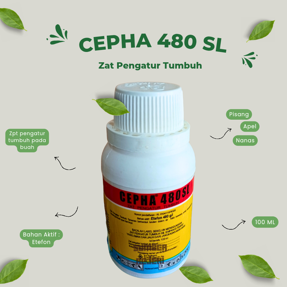 CEPHA 480 SL 100 ML