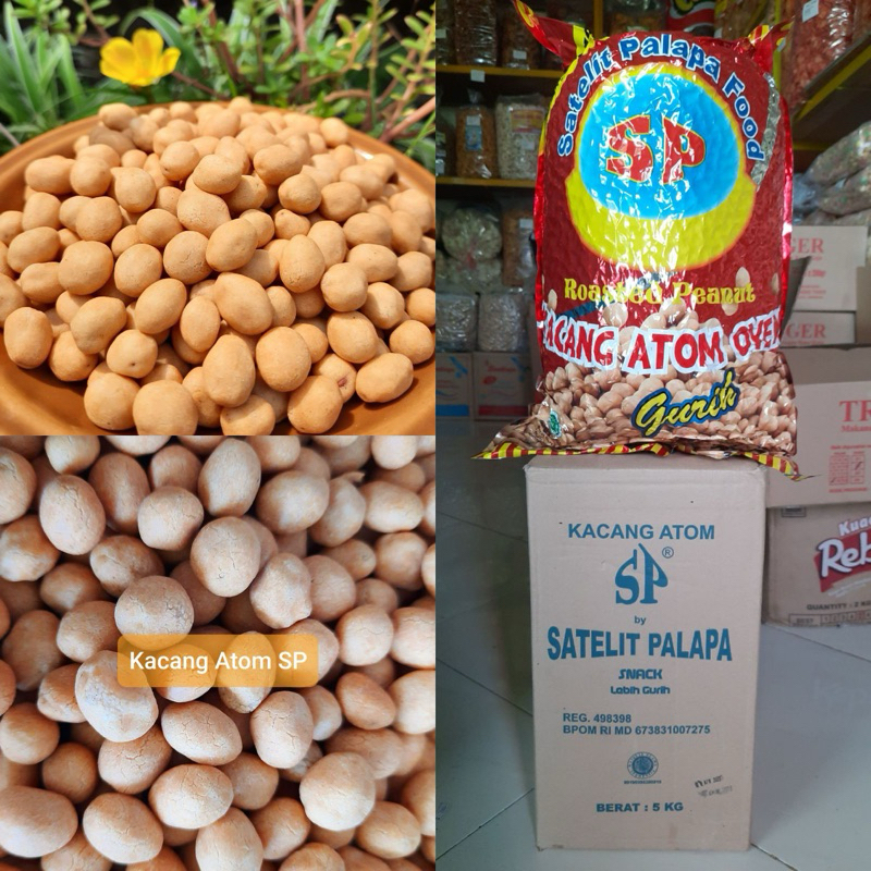 

Kacang Atom/Kacang Garuda/Kacang Telur Halus