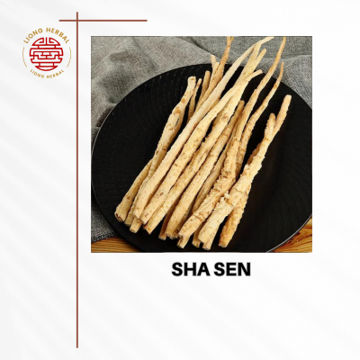 

Bei Sha Shen Premium / Sa Sem 北砂参 / Coastal Glehnia Root import / Bai Sha Shen / Sasom Shasom Shashen