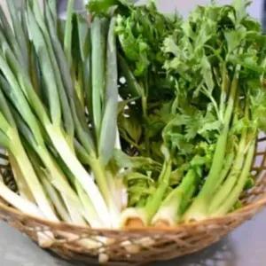 

DAUN BAWANG + SELEDRI 250GRAM