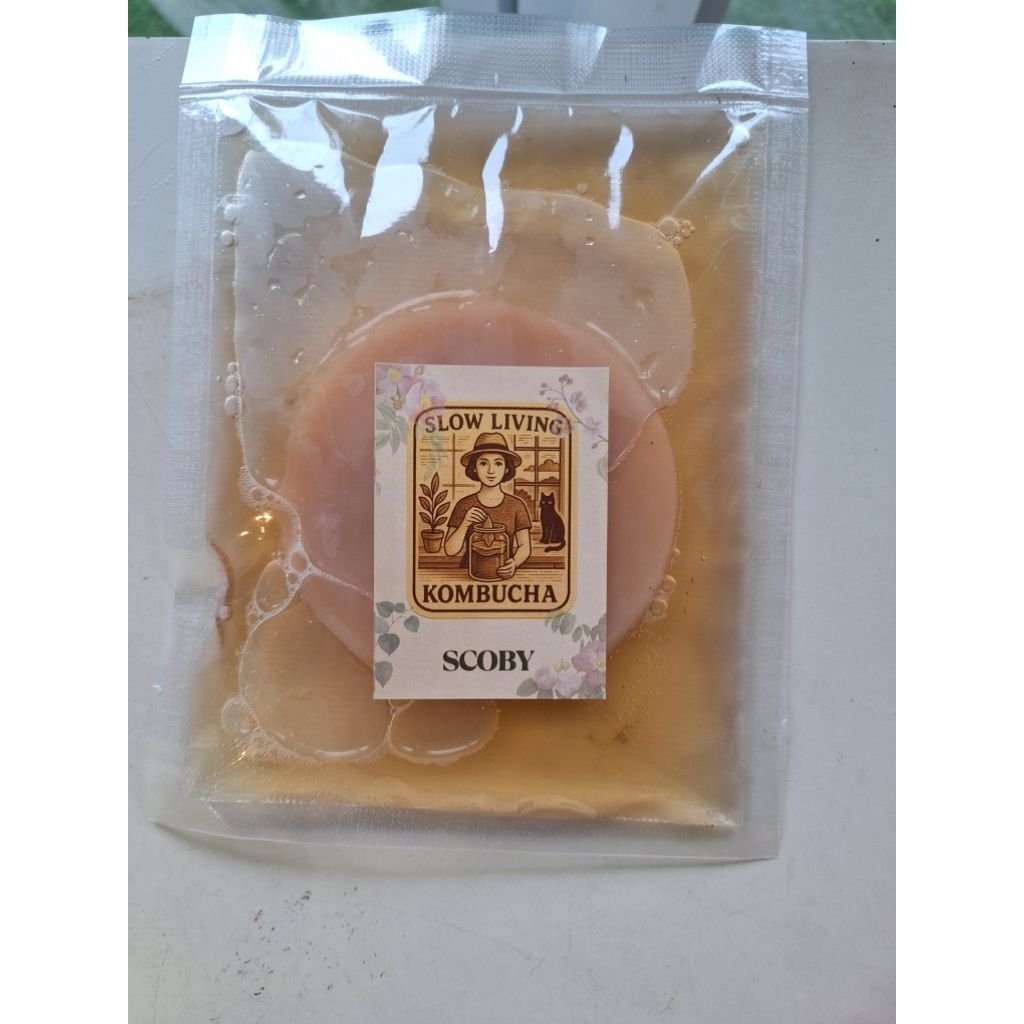 

Scoby Kombucha