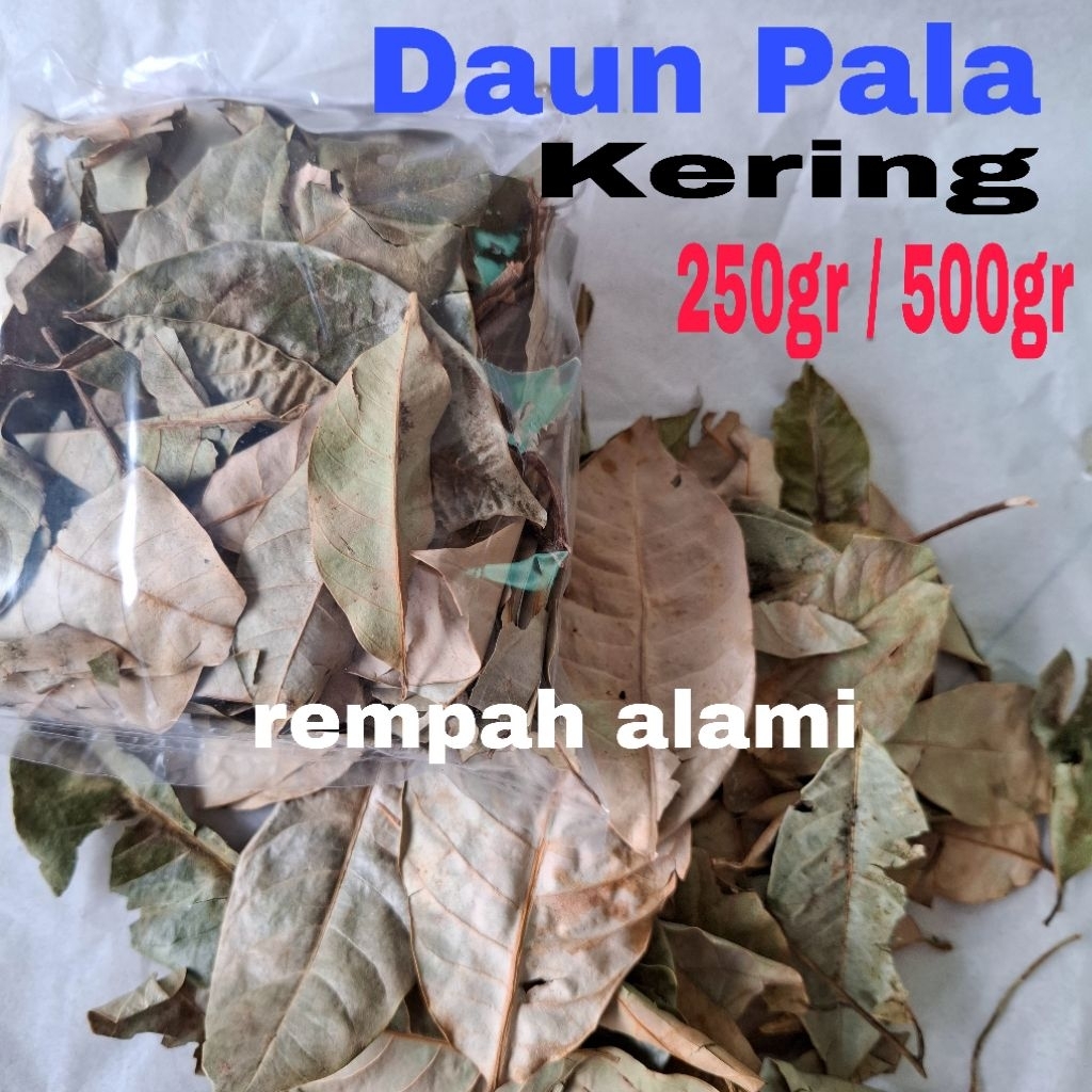 

Daun Pala Kering 250/500gr