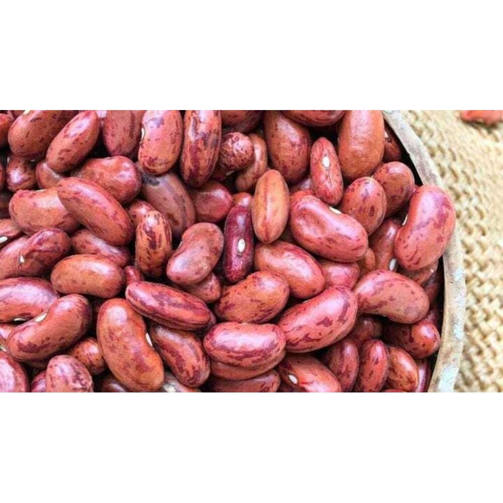 

Kacang Merah Super Kemasan Vakum 100gr - 250gr