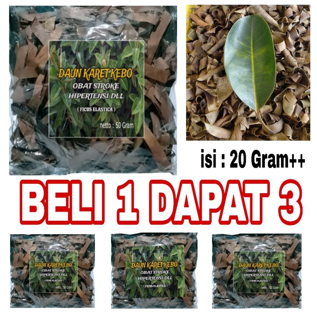 

DAUN KARET KEBO KERING SIAP SEDUH 100% HERBAL ALAMI (FICUS ELASTICA)