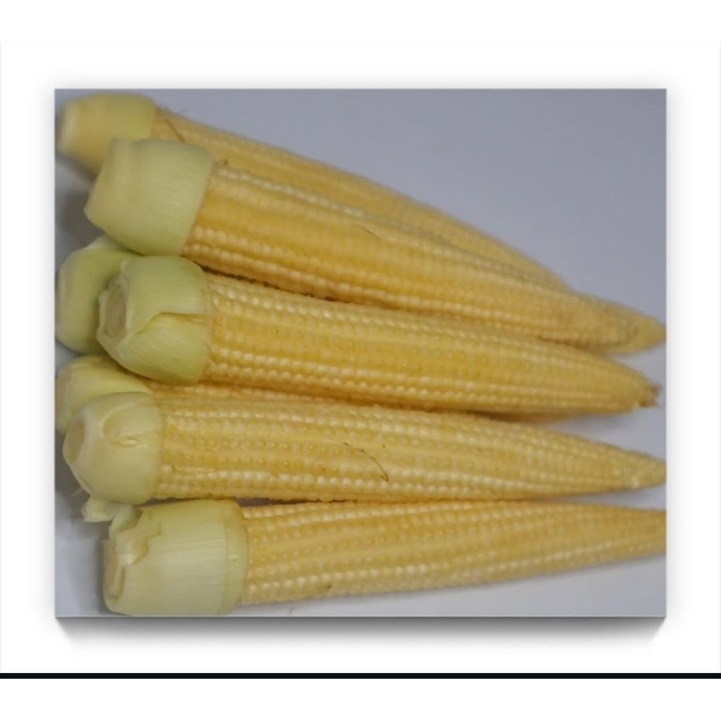 

Jagung acar/Jagung putren 500 gr