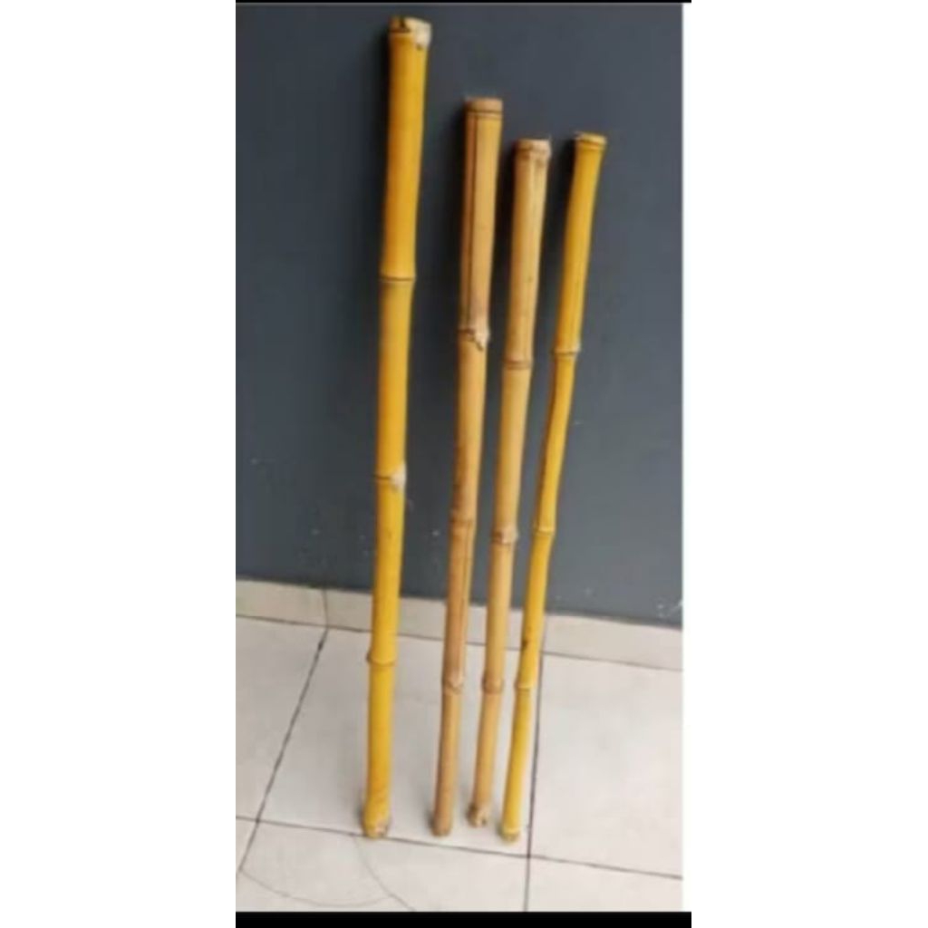 tongkat bambu kuning 1meter