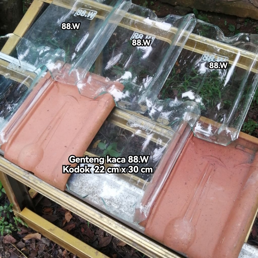 Genteng KACA 88.W TRANSPARAN 88.W  KODOK 8mm