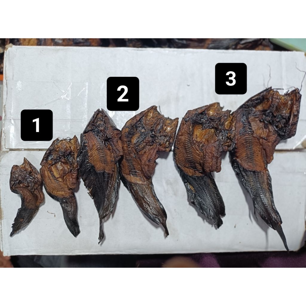 

ikan kampung ukuran kecil