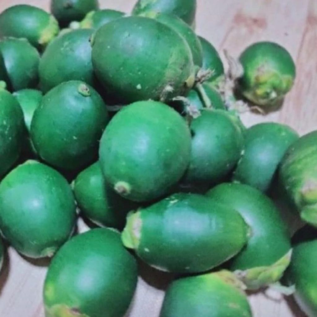 

1Kg Buah Pinang Muda Segar - Jambe Muda Fresh