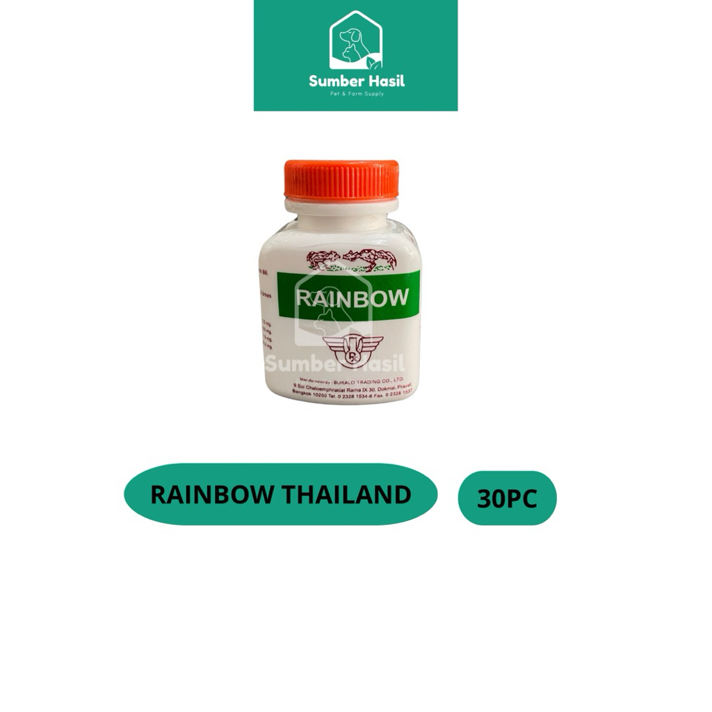 RAINBOW THAILAND OBAT AYAM JAMU AYAM ADUAN RAINBOW THAILAND ORIGINAL