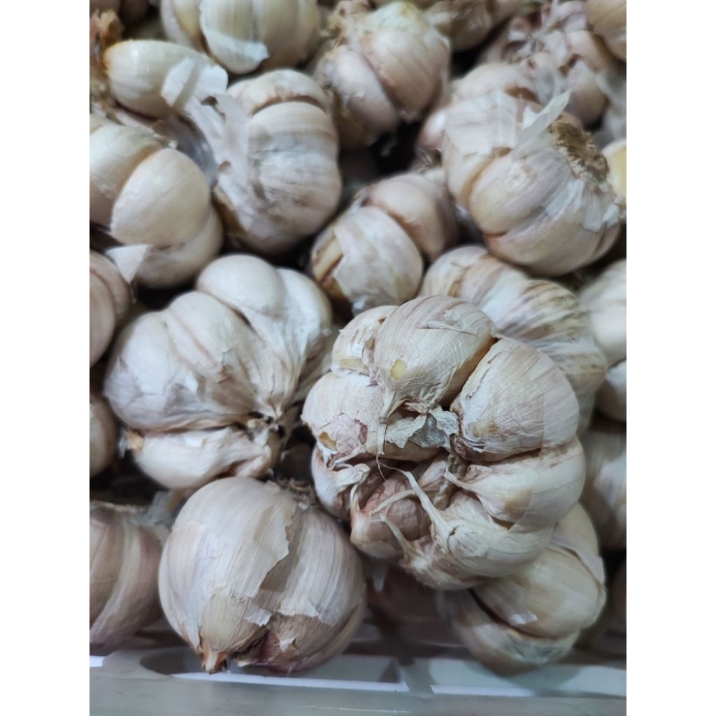 

Bawang putih