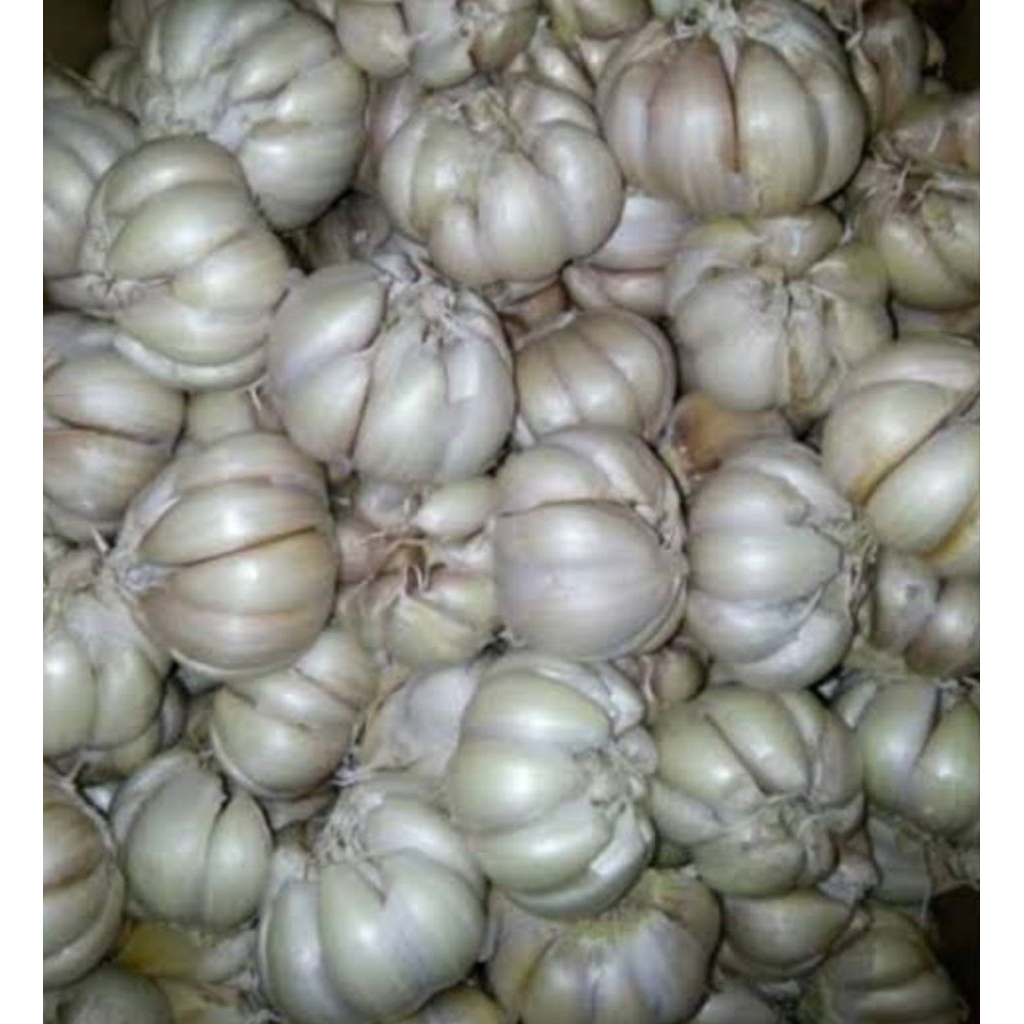 

bawang putih bersih dan fresh 500grm