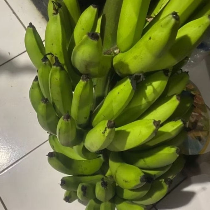 

Buah Pisang Mentah PO Pisang Bangkaulu