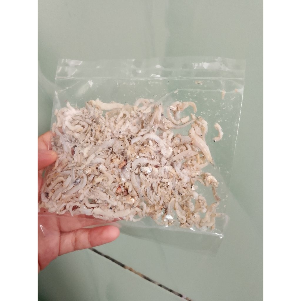 

ikan asinsepat/ teri jengki /teri Medan