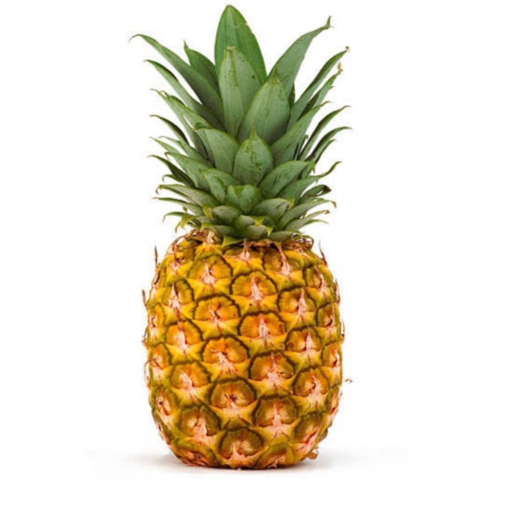 

nanas sunpride murah beli satu dapet 2. Rp.20.000