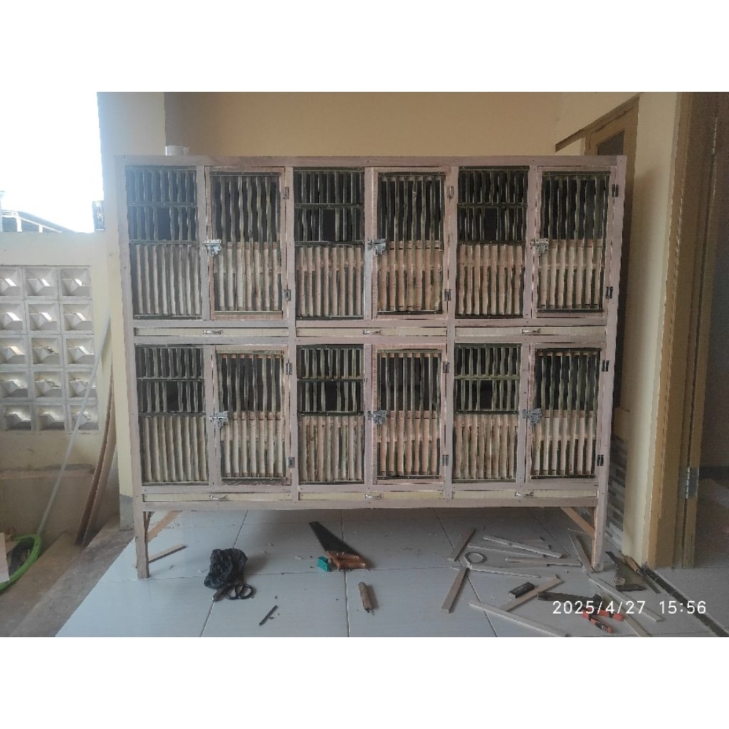 kandang ayam bangkok