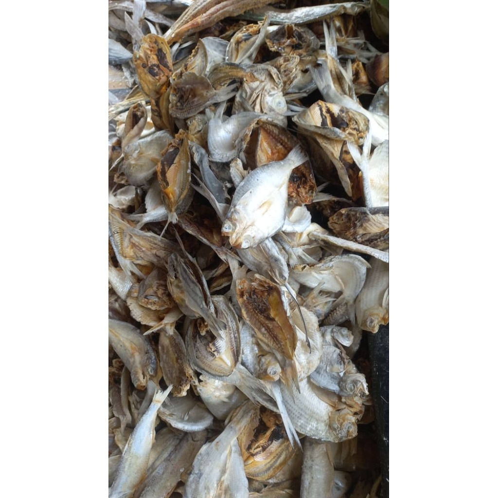 

ikan asin tembang belah sisik kaca terlaris