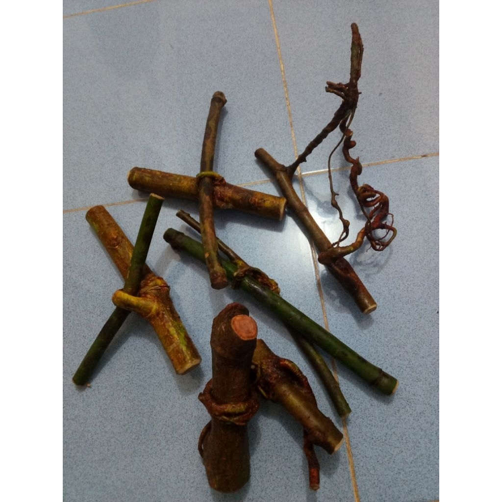 akar oyot mimang.cinta dengan bambu ramat.koleksi unik berkarakter