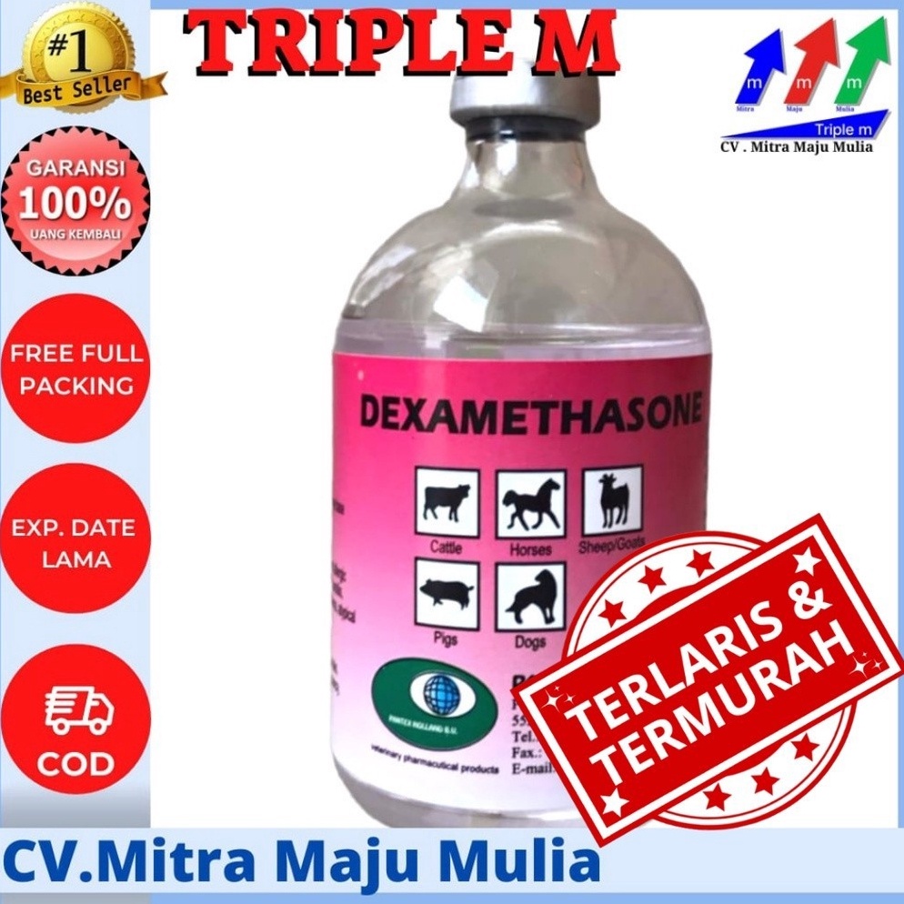 KODE F45N Dexamethasone Pantex Holland TRIPLE M