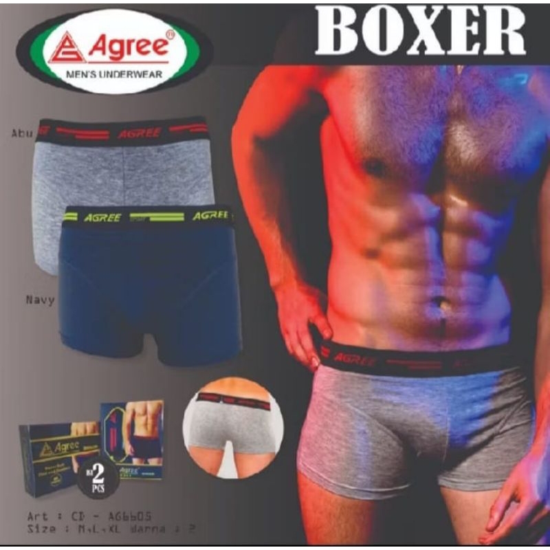 2PCS CELANA DALAM PRIA KARET BRIEF MEREK AGREE ART.6605/ BOXER PRIA MEREK AGREE