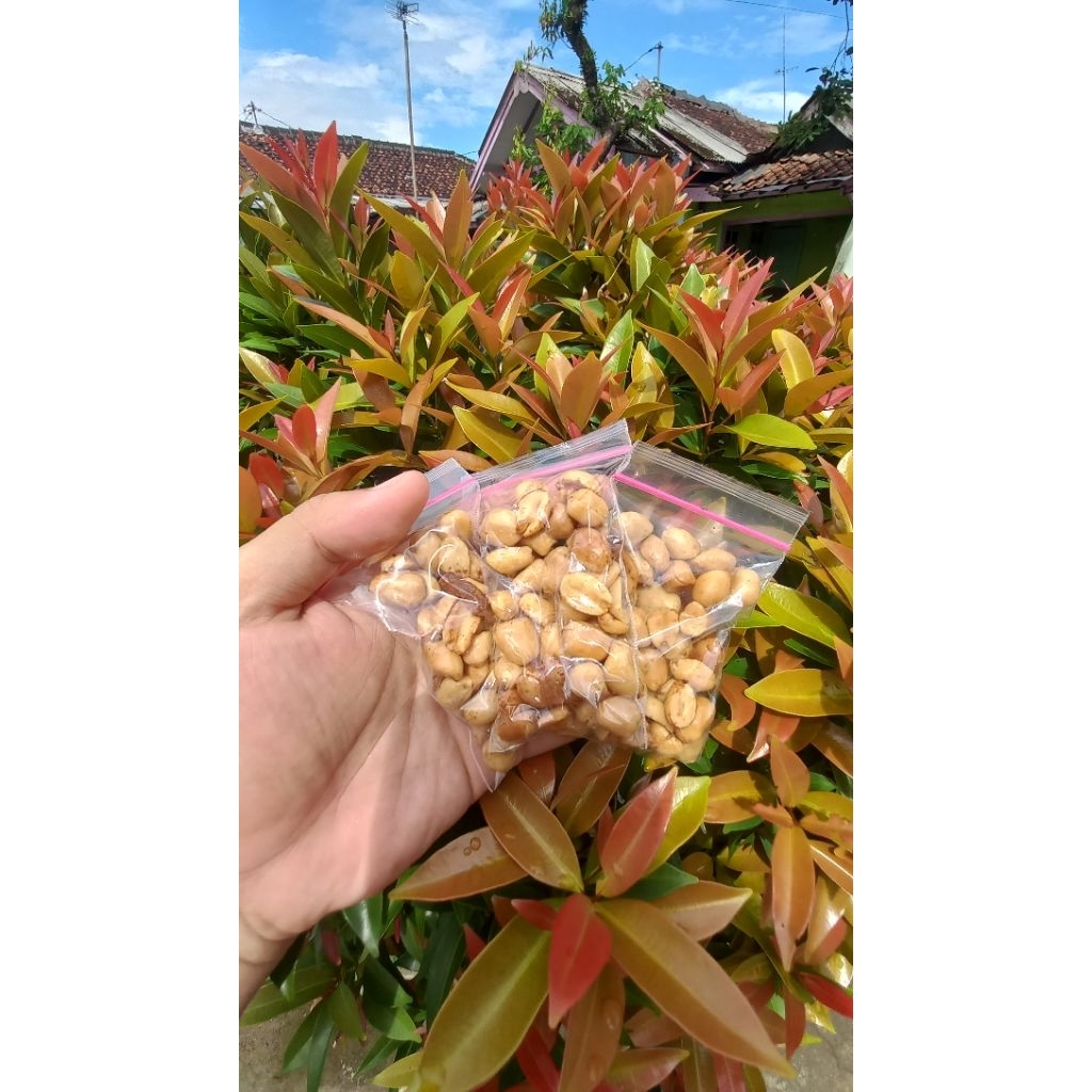 

kacang bawang daun jeruk kemasan kecil