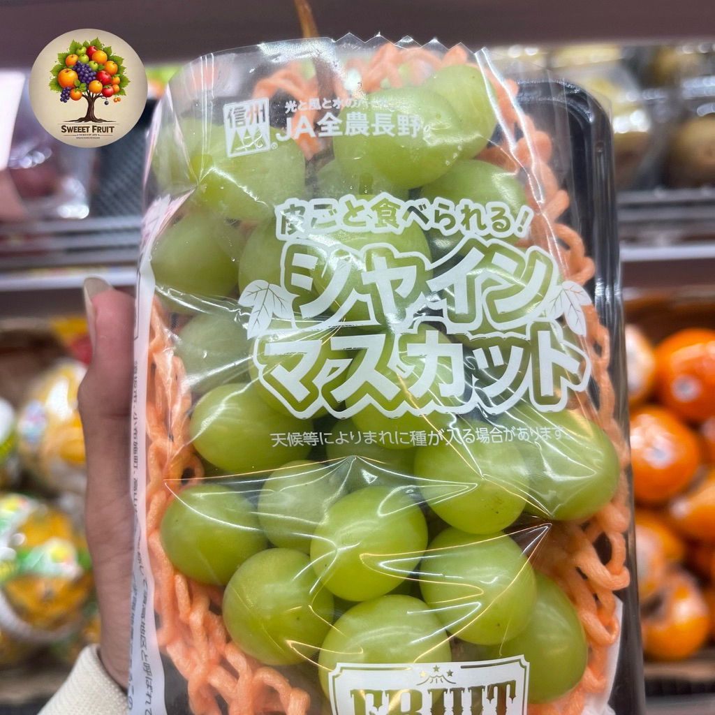 

Anggur Shine Muscat Jepang | Anggur Greenn Import Jepang Fresh