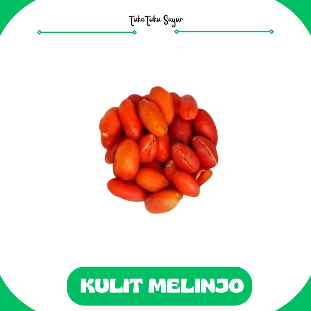 

KULIT MELINJO SEGAR FRESH - TukaTuku Sayur