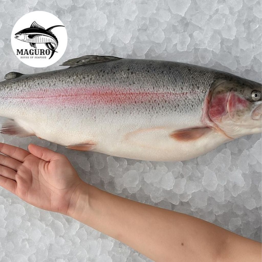 

Salmon Utuh Trout Frozen