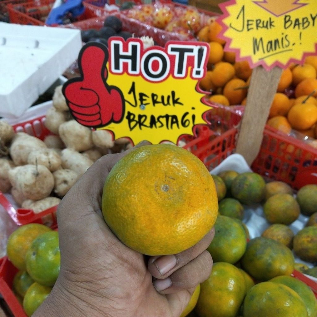 

1KG JERUK BRASTAGI MANIS FRESH size besar