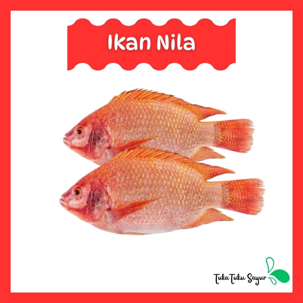 

IKAN NILA FRESH SEGAR 1kg - TukaTuku Sayur