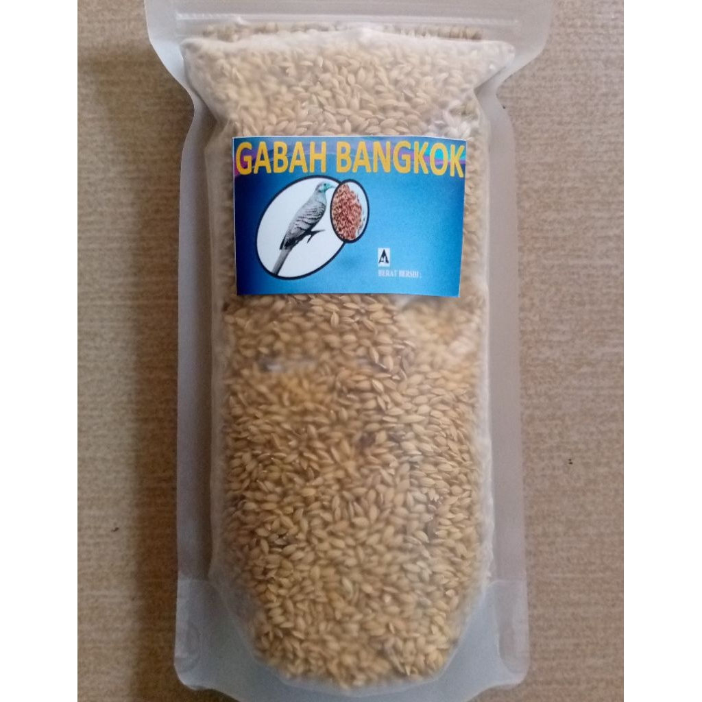 GABAH BANGKOK PUTIH - GABAH MINI
