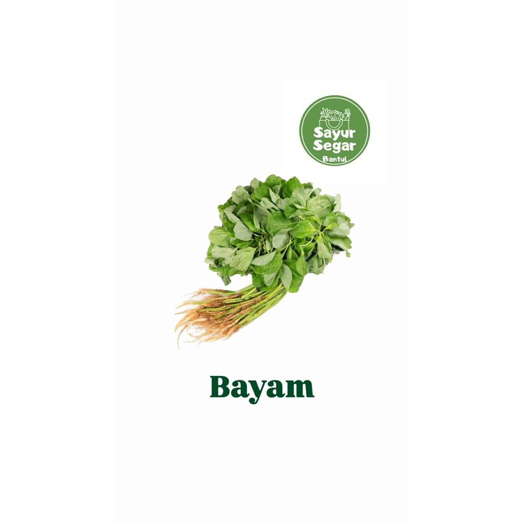 

Bayam 1 Ikat