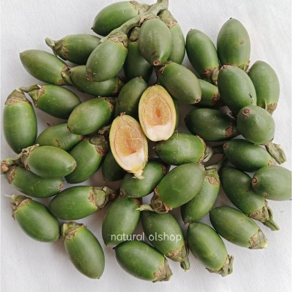 

Buah Pinang Muda 1 Kg Pilihan Jambe Anum Asli Segar