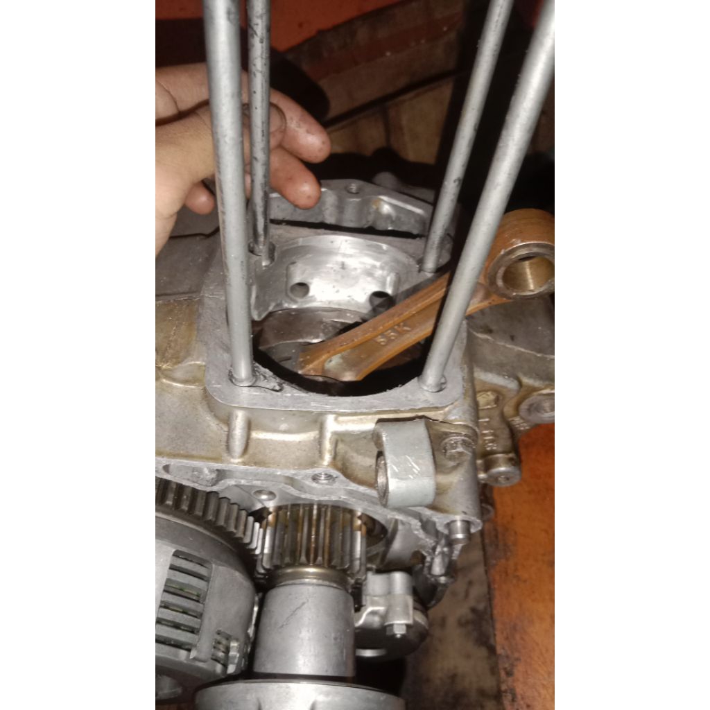 kruk as tiger langkah 74