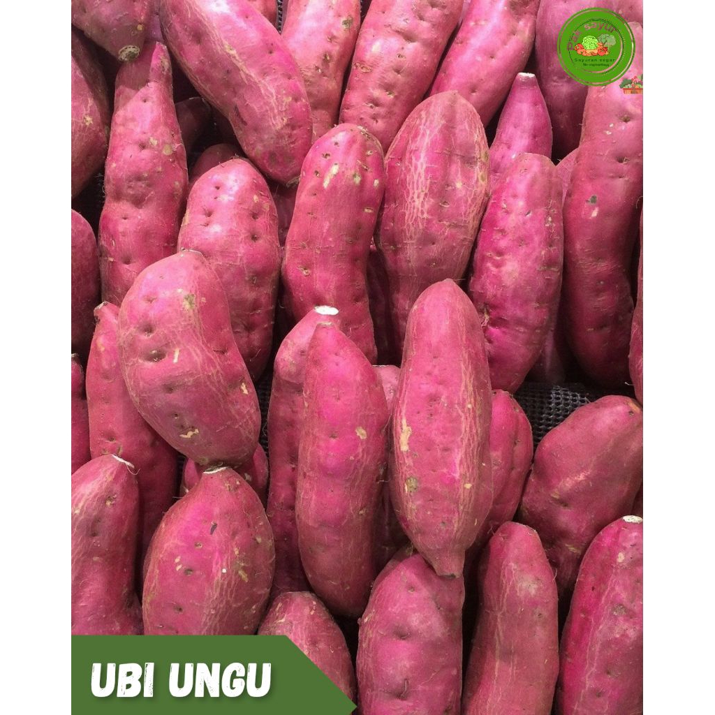 

Ubi Ungu , Ubi Ungu Mentah , Ubi Ungu 1 kg , Sabrang Ungu