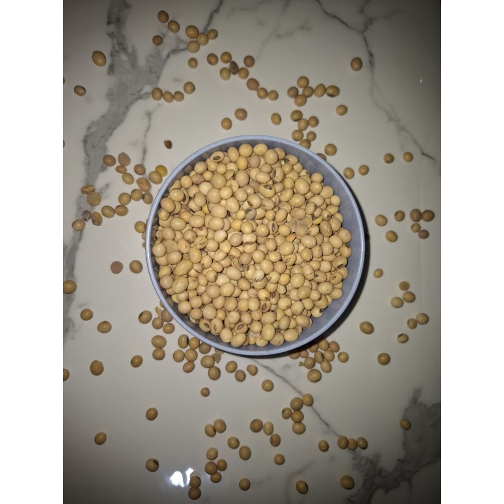 

kedelai, kacang kedelai